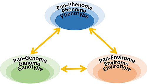 Exploring relationships among phenotype, genotype and environment at different levels[18]
