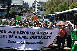 Costa Rican agricultural unions demonstration, January 2011