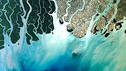  An aerial photograph of a river delta