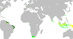 Map of the Dutch colonial empire. Light green: territories administered by or originating from territories administered by the Dutch East India Company; dark green: the Dutch West India Company. In yellow are the territories occupied later, during the 19th century.