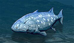 Guiyu oneiros, one of the earliest known bony fish, lived during the Late Silurian, 425 million years ago.[9]