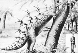 1899 life restoration showing the plates lying flat on the back with spikes all over the back