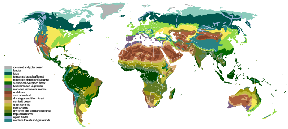 A map of a classification of the world's vegetation into biomes. Those named here include tundra, taiga, temperate broadleaf forest, temperate steppe, subtropical rainforest, Mediterranean vegetation, monsoon forest, arid desert, xeric shrubland, dry steppe, semiarid desert, grass savannah, tree savannah, subtropical and tropical dry forest, tropical rainforest, alpine tundra, and montane forests. Shown in grey is "ice sheet and polar desert" devoid of plants.