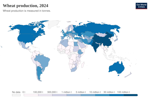 Wheat production