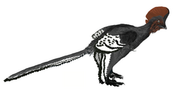 Life restoration based on the color pattern of the Beijing specimen