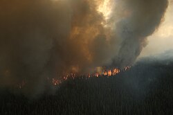 The Shanta Creek Fire began in a taiga area that had not had a major fire in over 130 years, and so was allowed to burn unchecked until it began to threaten populated areas.