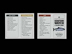 A Seafood Watch pamphlet showcasing sustainable seafood categories and options.