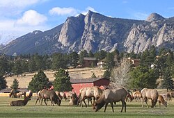 Estes Park Golf Course