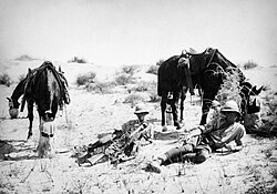 Yeomanry patrol in 1918 during a pause in the desert