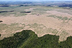 Deforestation and increased road-building bring human encroachment upon wild areas, increased resource extraction and threats to biodiversity.