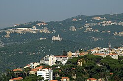 Stone pine forests in Brummana, Lebanon