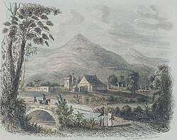 An image of Saint-Domingue's landscape
