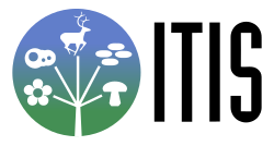 Official logo of ITIS