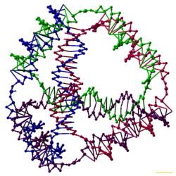 This DNA tetrahedron[42] is an artificially designed nanostructure of the type made in the field of DNA nanotechnology. Each edge of the tetrahedron is a 20 base pair DNA double helix, and each vertex is a three-arm junction.