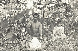 Hawaiian man with his two children, c. 1890