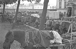 Finnish horses and carriages requisitioned in the mobilization before the Winter War