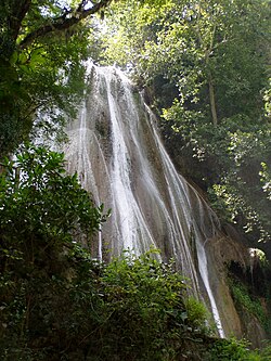 Cola de Caballo (horse's tail)