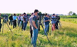 Birdwatchers watching Britain's fifth-ever white-tailed lapwing at Caerlaverock, Scotland, 6 June 2007