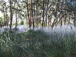 Fog Sculpture #94925 "Foggy Wake in a Desert: An Ecosphere," Sculpture Garden, Australian National Gallery, Canberra