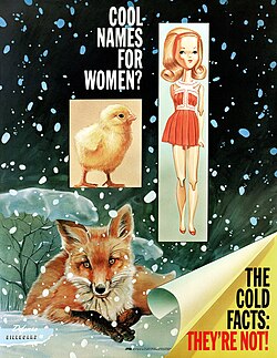 A poster of a fox in a snowy field with an overlaid image of a chick and a doll, with the captions: "COOL NAMES FOR WOMEN?" "THE COLD FACTS: THEY'RE NOT!"