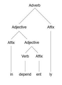A morphology tree of the English word "independently"