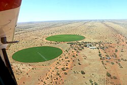 Alfalfa fields in the Kalahari Desert (2017)24°20′21.5″S 018°35′36.4″E﻿ / ﻿24.339306°S 18.593444°E