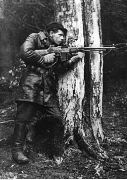 Polish partisan of the Home Army (AK), "Jędrusie" unit, holding a Browning wz.1928 light machine gun