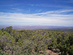 View of the Vermillion Cliffs (to the northeast) from the Kaibab Plateau, June 2008
