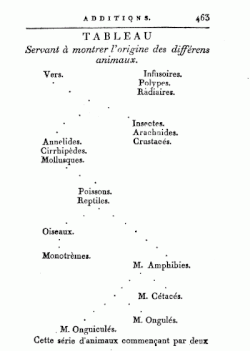 Lamarck's 1809 tree of life depiction of the origins of animal groups in Philosophie zoologique with branching evolutionary paths
