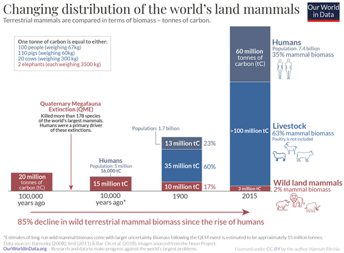 The changing distribution of the world's land mammals in tonnes of carbon. The biomass of wild land mammals has declined by 85% since the emergence of humans.[179]