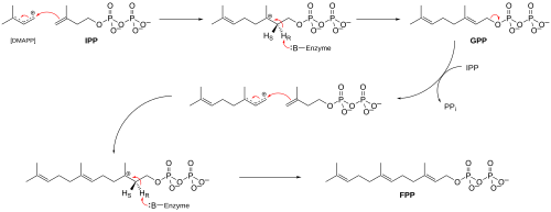 ภาพประกอบบทความ