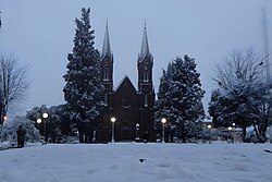 Snow in Vacaria, 2020