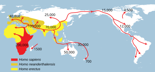 Successive dispersals of Homo erectus (yellow), H. neanderthalensis (ochre) and H. sapiens (red)