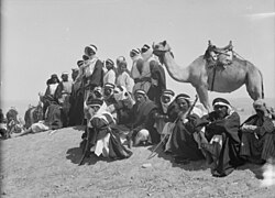Bedouins racing and feasting at Beersheba in 1930