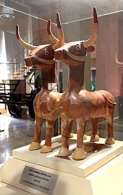 Hittite Artifacts in Sivas Archeology Museum