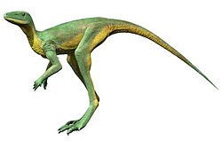 Life restoration of Lagerpeton. Lagerpetids share many anatomical and neuroanatomical similarities with pterosaurs and may be close relatives