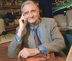 Wilson in 2003