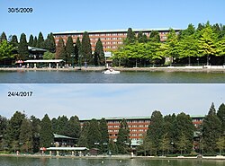 Sequoias in Eurodisney (near Paris) in 2009 and 2017