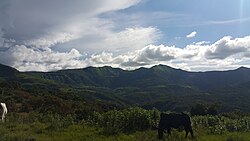 The Mambilla Plateau in the North-Eastern region of Nigeria