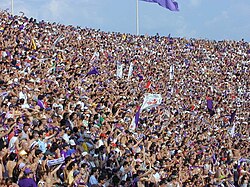 Audience engagement from a crowd of Italian sport fans