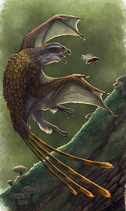 Life restoration of a Yi qi in its environment