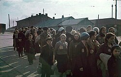 Jews in Minsk, 1941. Before World War II, some 40 percent of the population was Jewish. By the time the Red Army retook the city on 3 July 1944, there were only a few Jewish survivors.