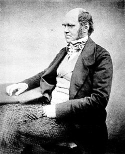 In 1842, Charles Darwin penned his first sketch of On the Origin of Species.[303]