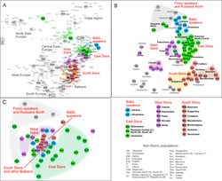Genetic structure of Bosnians within European context according to three genetic systems: Autosomal DNA (A), Y-DNA (B) and mtDNA (C) per Kushniarevich et al. (2015)