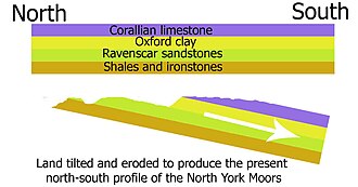 A cross section of the geology of the North York Moors