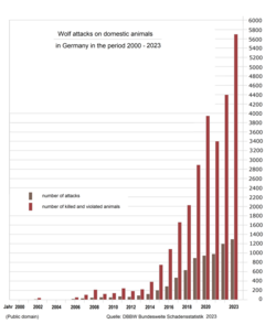 Wolf attacks on domestic animals