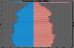 Nebraska population pyramid
