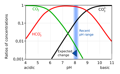 Carbonate speciation in seawater (ionic strength 0.7 mol/dm3). The expected change shown is due to the current anthropogenic increase in atmospheric carbon dioxide concentration.