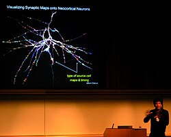 The Human Brain Project is a large scientific research project, starting in 2013, which aims to simulate the complete human brain.