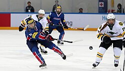 Ice hockey, a popular winter team sport
